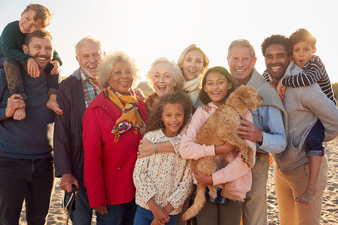 Generations: A Journey Through Time