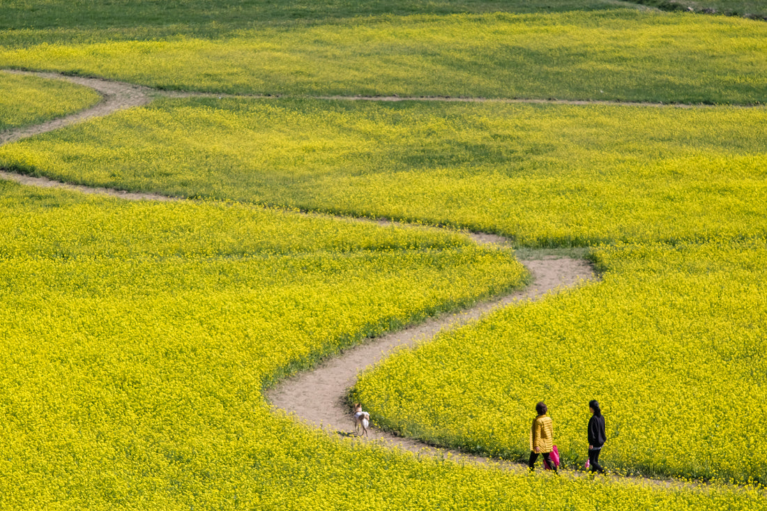 Our Earthly Journey Weaves Into A Larger, Divine Tapestry.