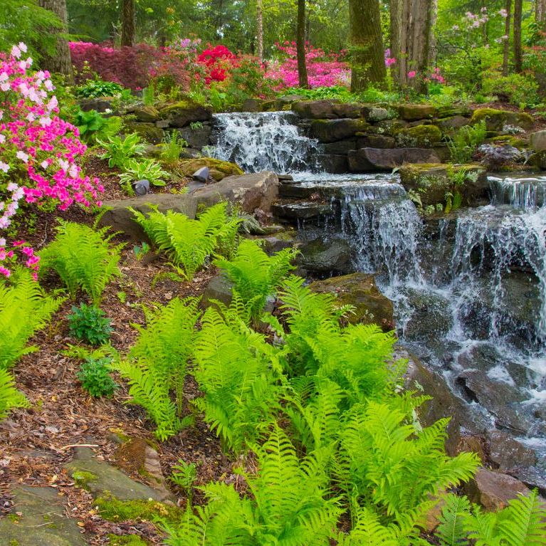 April Showers Bring May Flowers: Origins and Meaning