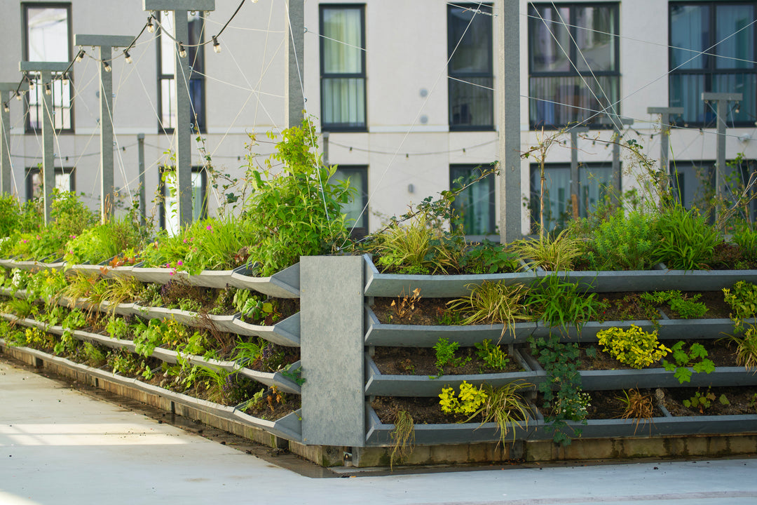 Guerrilla Gardening: Cultivating Beauty in Urban Spaces