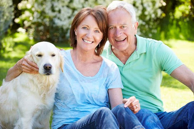 25 of the Absolute Best Dogs for Seniors