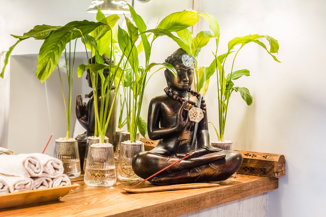 From Weeds to House Plants