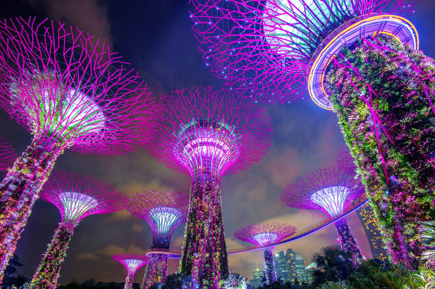 Embarking on an Unforgettable Journey: Exploring Singapore’s Splendors