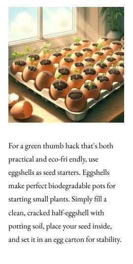 200 + Life Hacks - That Make Life Easier
