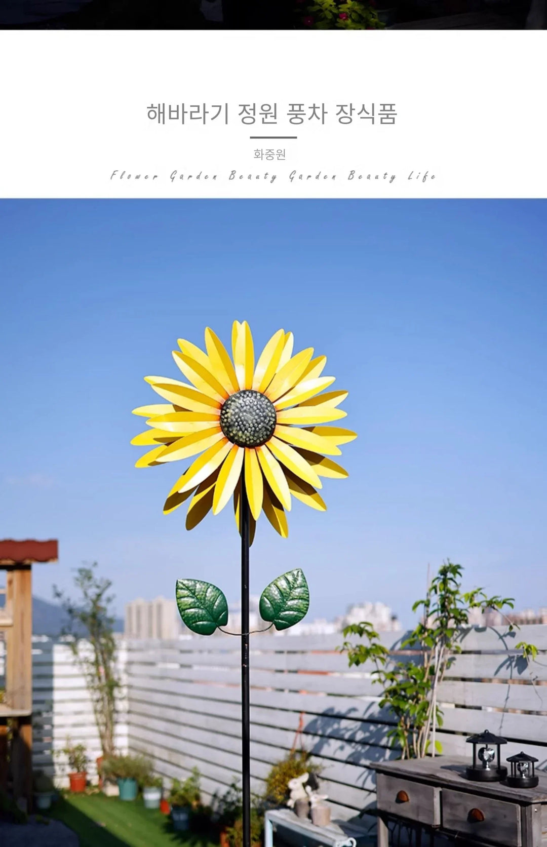 Enchanting Courtyard Windmills