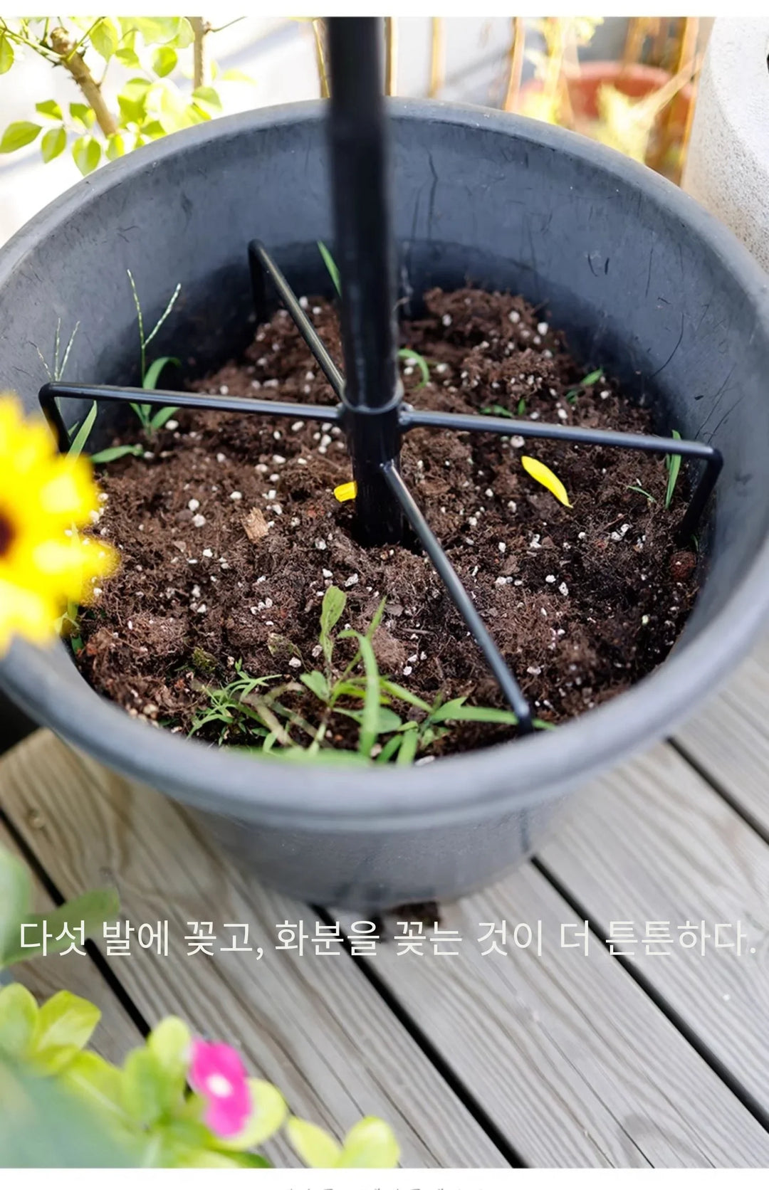 Enchanting Courtyard Windmills