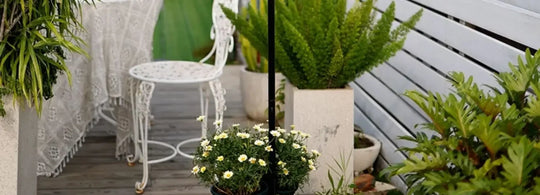 Enchanting Courtyard Windmills